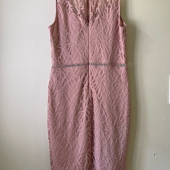 Bebe Body-con Lace Dress Blush Size 6 - Picture 3 of 9